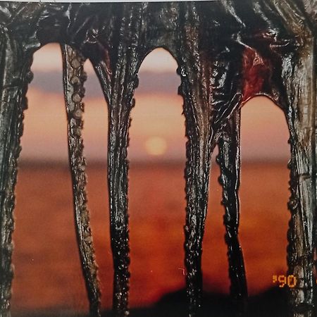 Apartmani Sollei Petrcane Luaran gambar